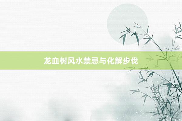 龙血树风水禁忌与化解步伐